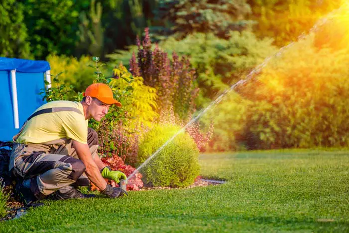 Professional Landscaper