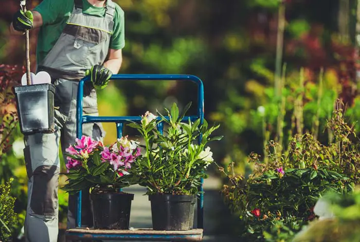 Professional Landscaper