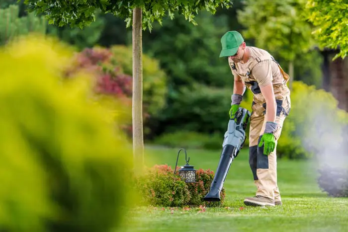 Professional Landscaper
