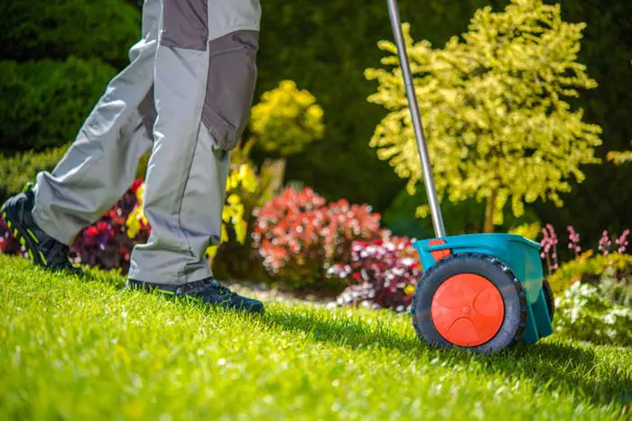 Professional Landscaper