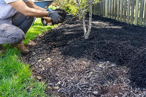 Mulch Installation