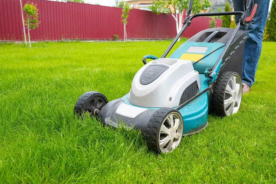 Professional Landscaping Company in Midlothian, IL Professional Landscaping Company in Midlothian, IL
