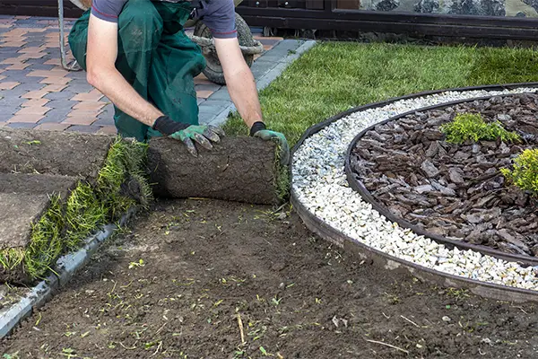 Sod Installation