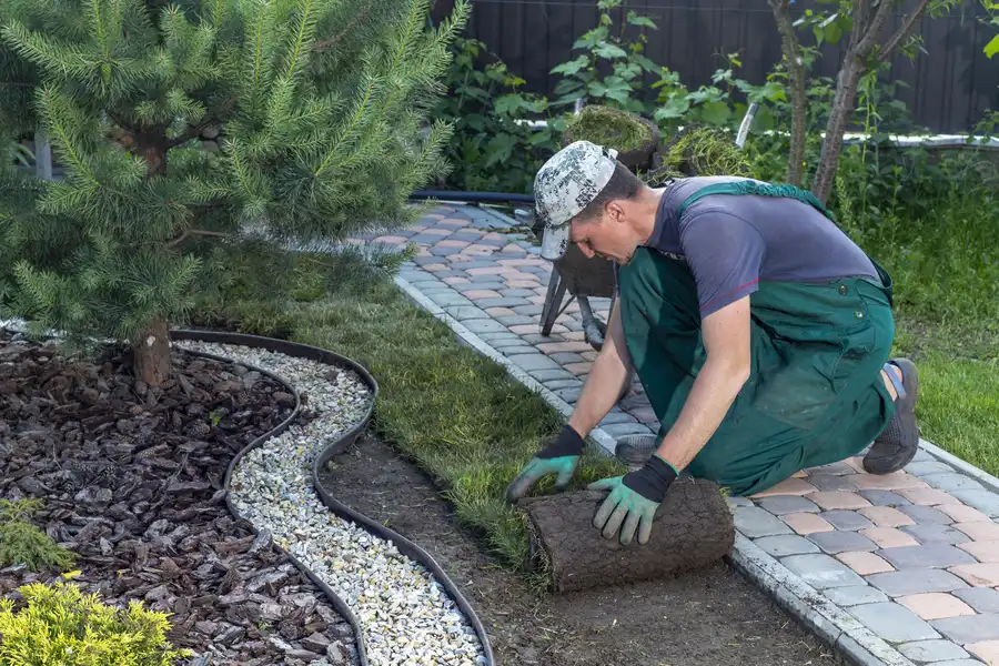 Affordable Sod Installation Midlothian, IL