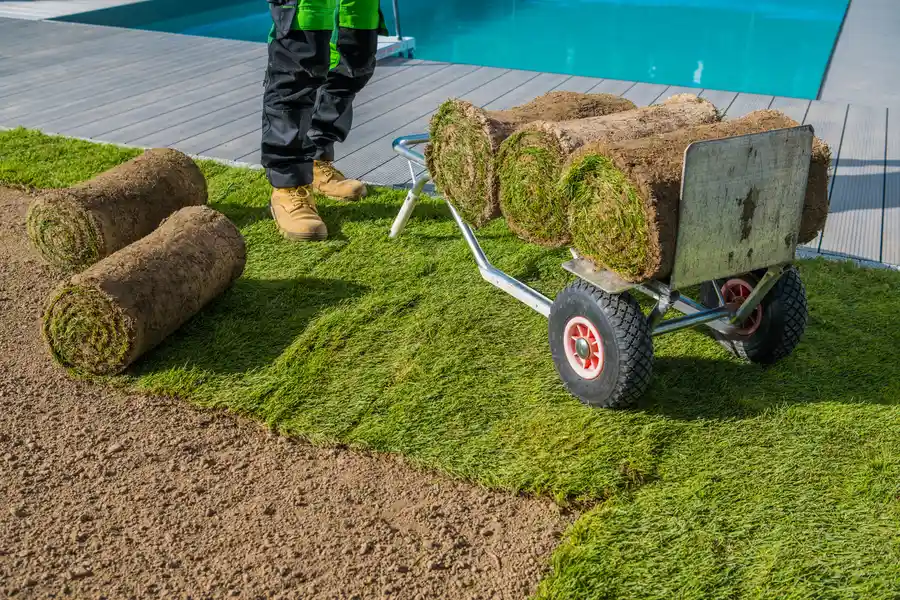 Establishing New Sod Timeframe Midlothian, IL