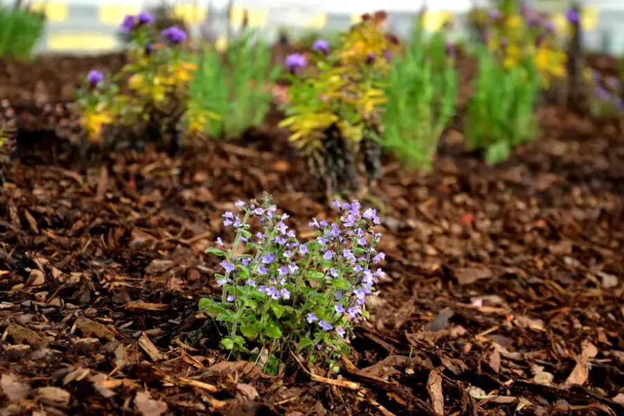 How Mulch Installation Supports Soil Moisture Retention Midlothian, IL How Mulch Installation Supports Soil Moisture Retention Midlothian, IL