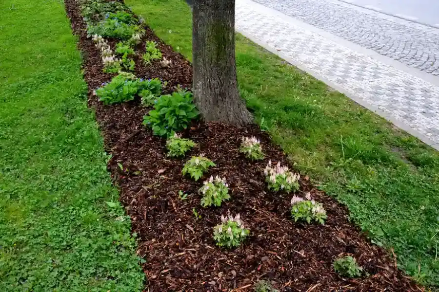 Local Mulch Installation Midlothian, IL Local Mulch Installation Midlothian, IL
