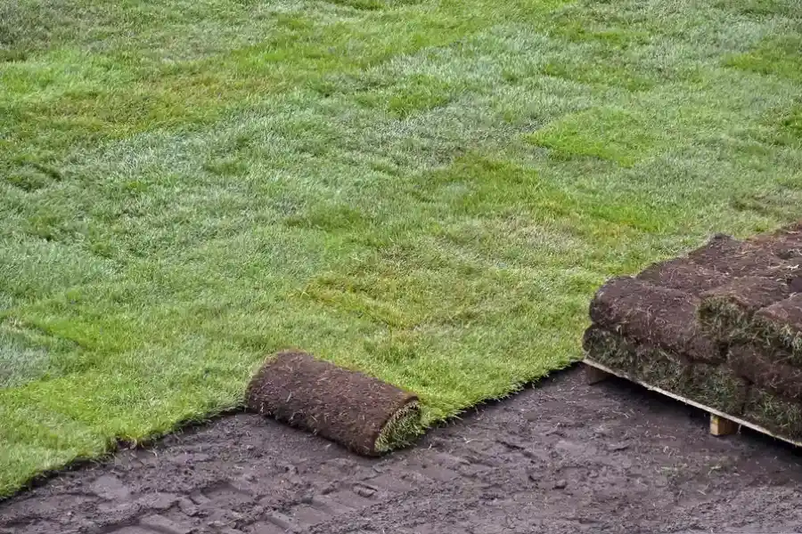 Post Installation Care For A New Lawn in Midlothian, IL