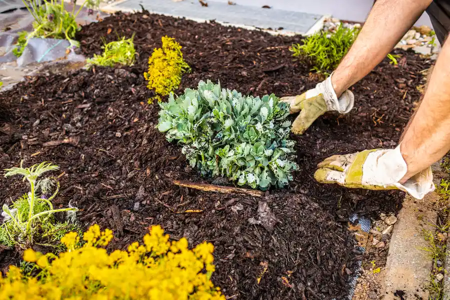 Superior Mulch Installation Midlothian, IL Superior Mulch Installation Midlothian, IL