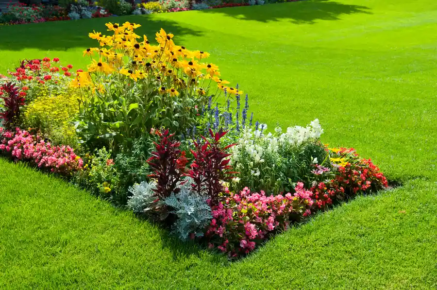 What To Expect When Working With Landscape Design Services Midlothian, IL What To Expect When Working With Landscape Design Services Midlothian, IL