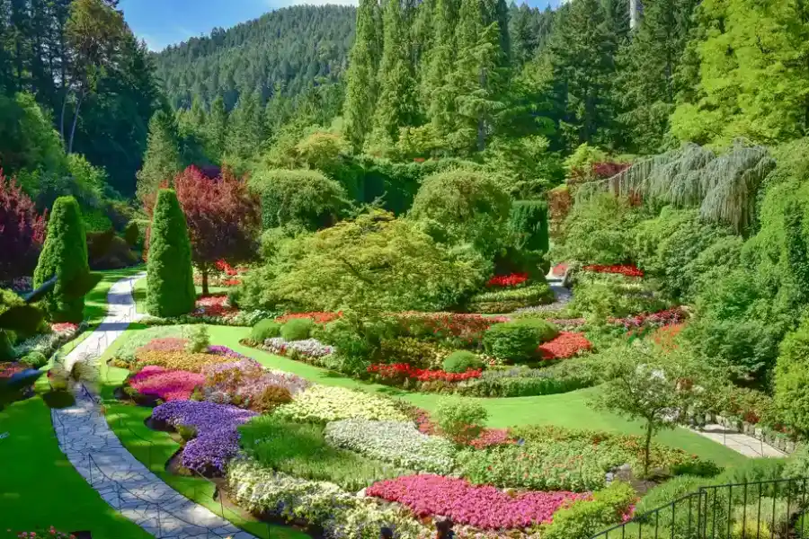 Why Landscape Design Services Are Essential For Curb Appeal Midlothian, IL