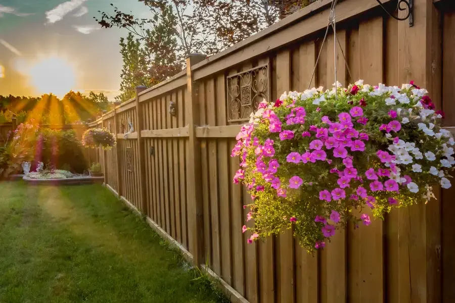 Why Landscape Design Services Are Essential For Curb Appeal in Midlothian, IL